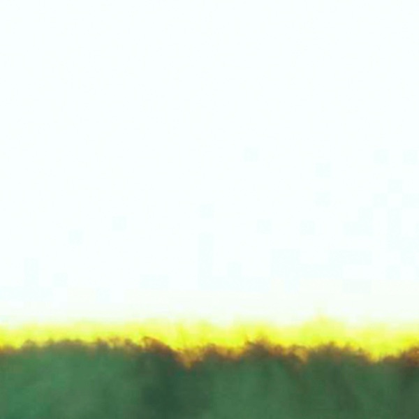 Verónica Pass (Bostro Pesopeo Remix) - Single album cover