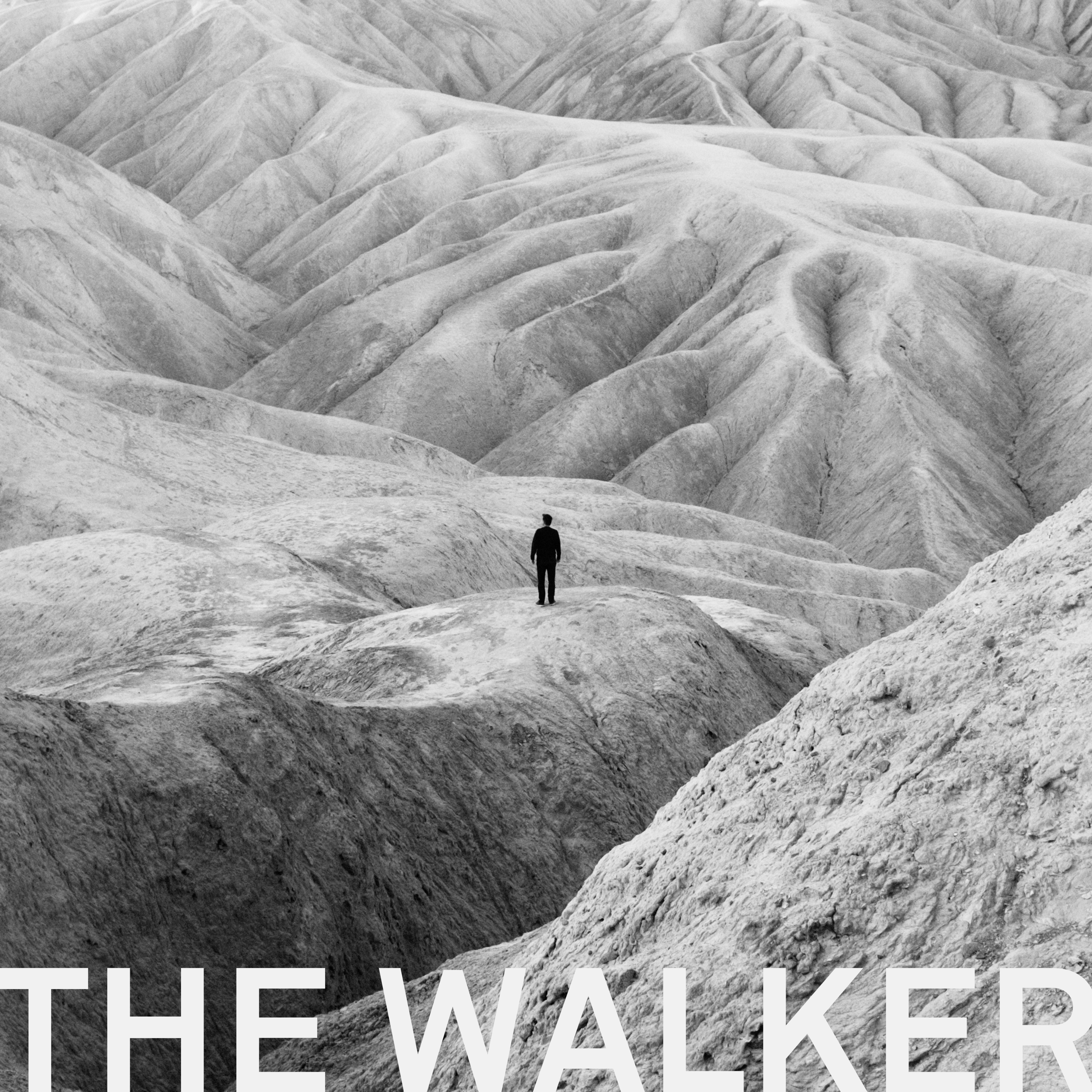 The Walker (Edit) - Single album cover