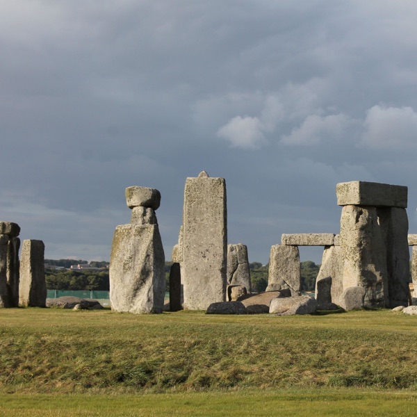 Dull - Single album cover