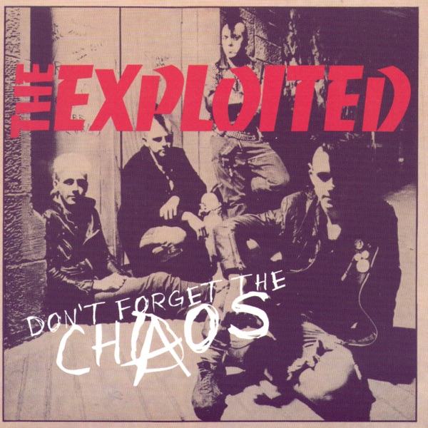 Don't Forget the Chaos album cover