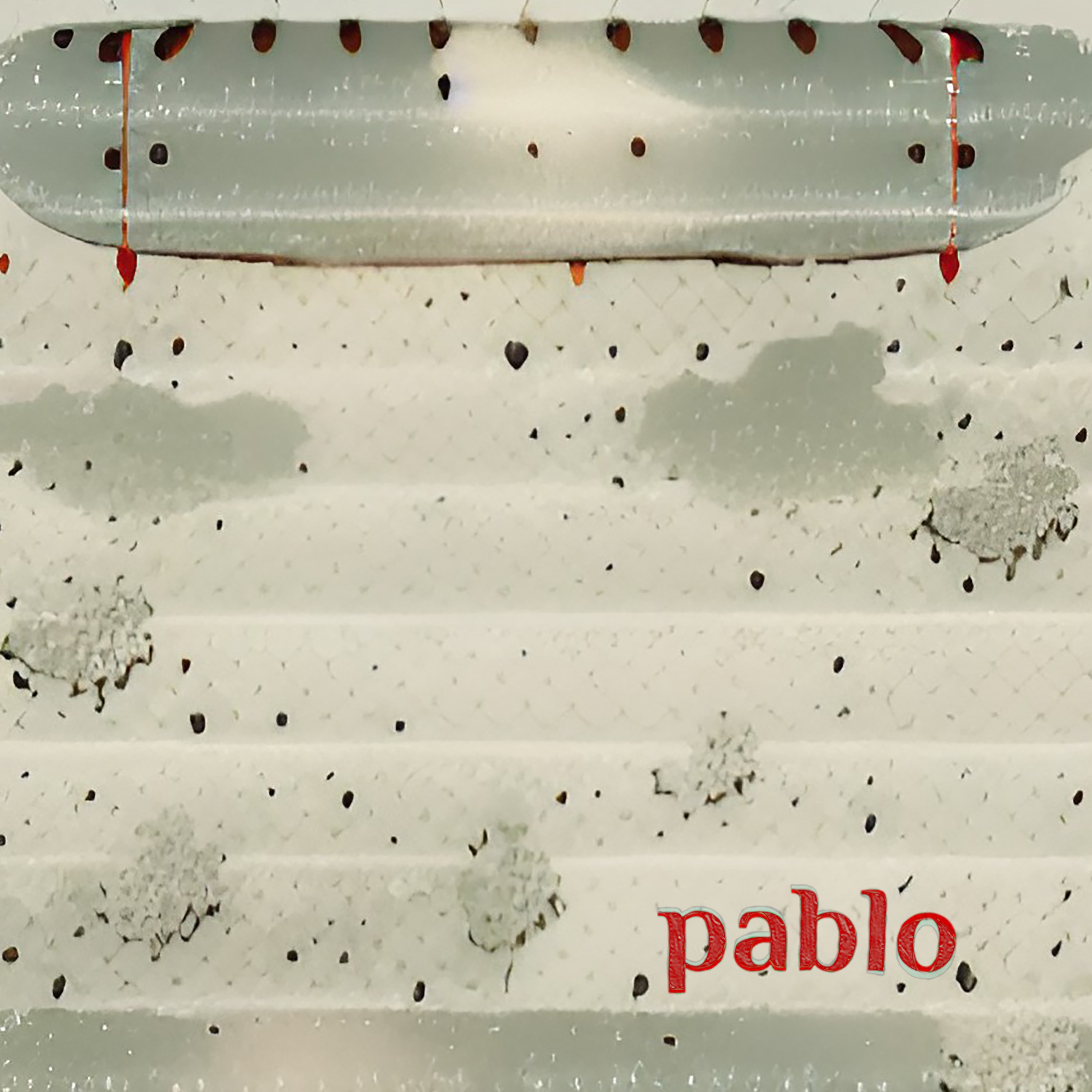 Pablo - Single album cover