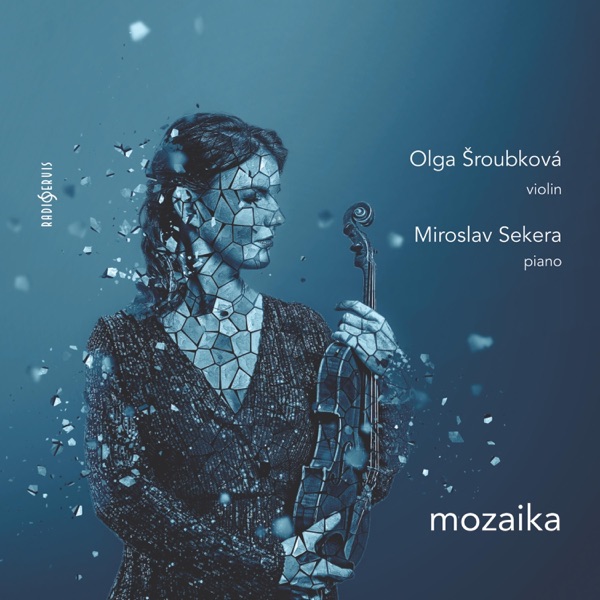 Mozaika album cover