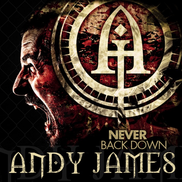 Never Back Down - Single album cover