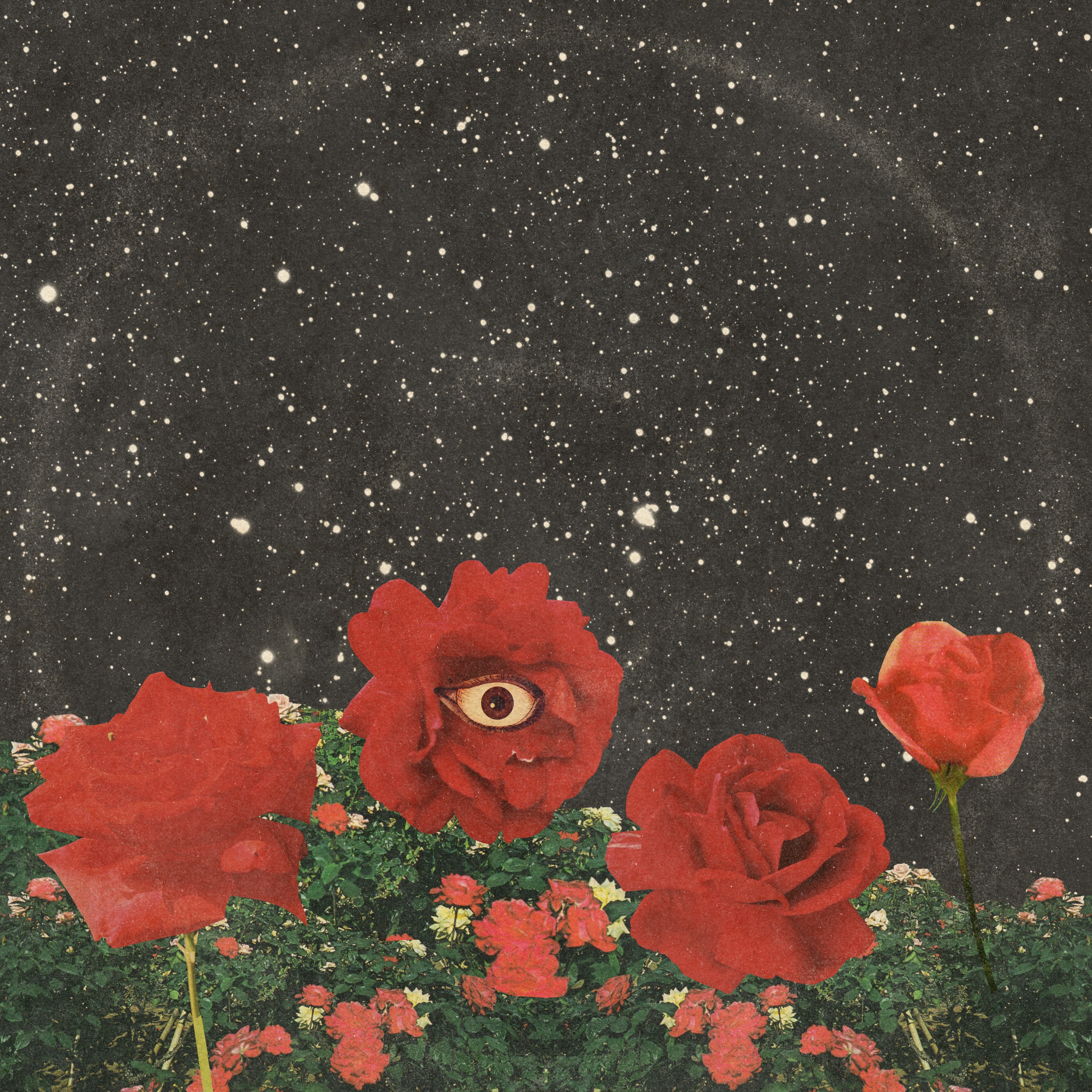 Gardens (Deluxe Version) album cover
