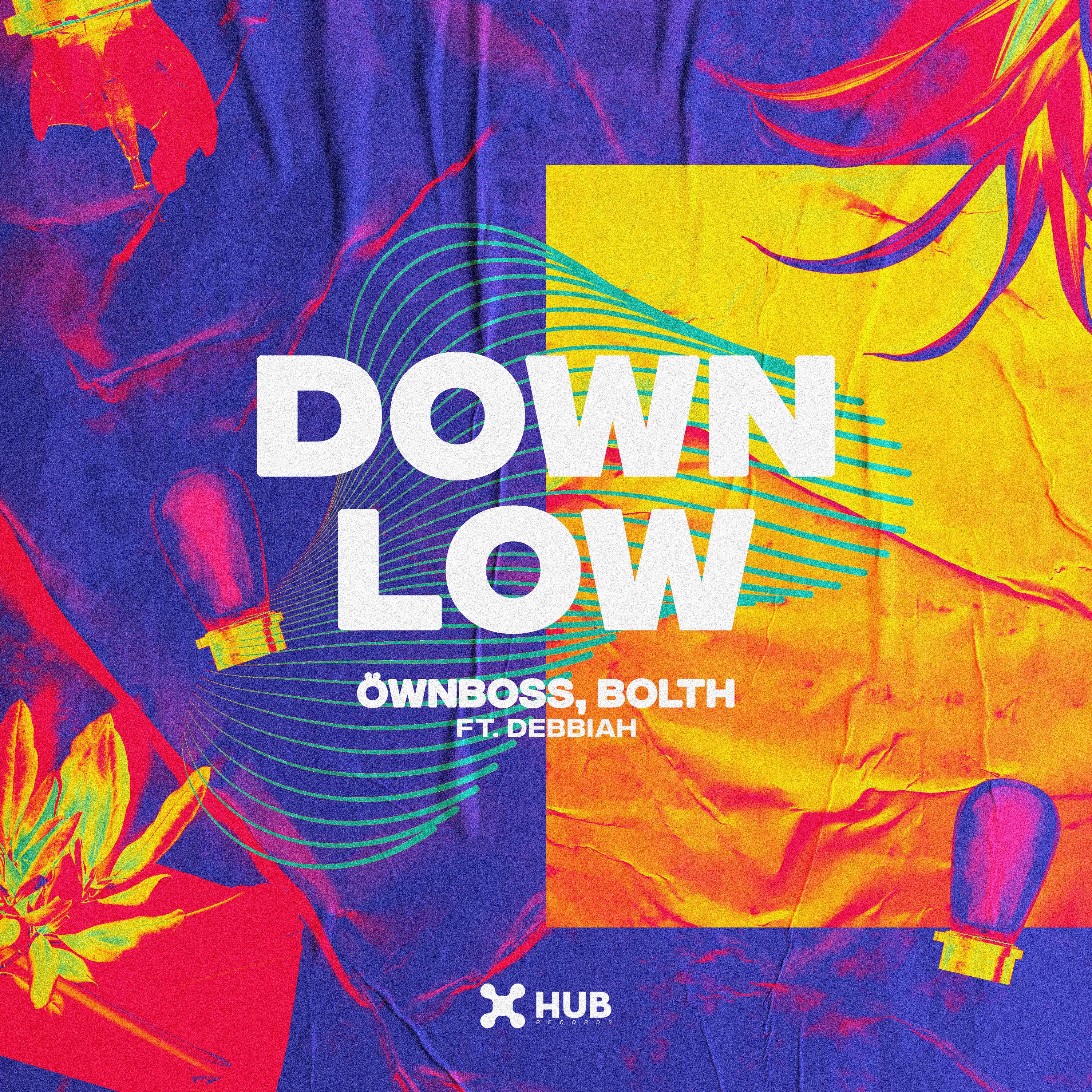 Down Low (feat. Debbiah) - Single album cover