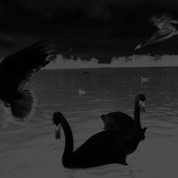 Bk Slep - Single album cover