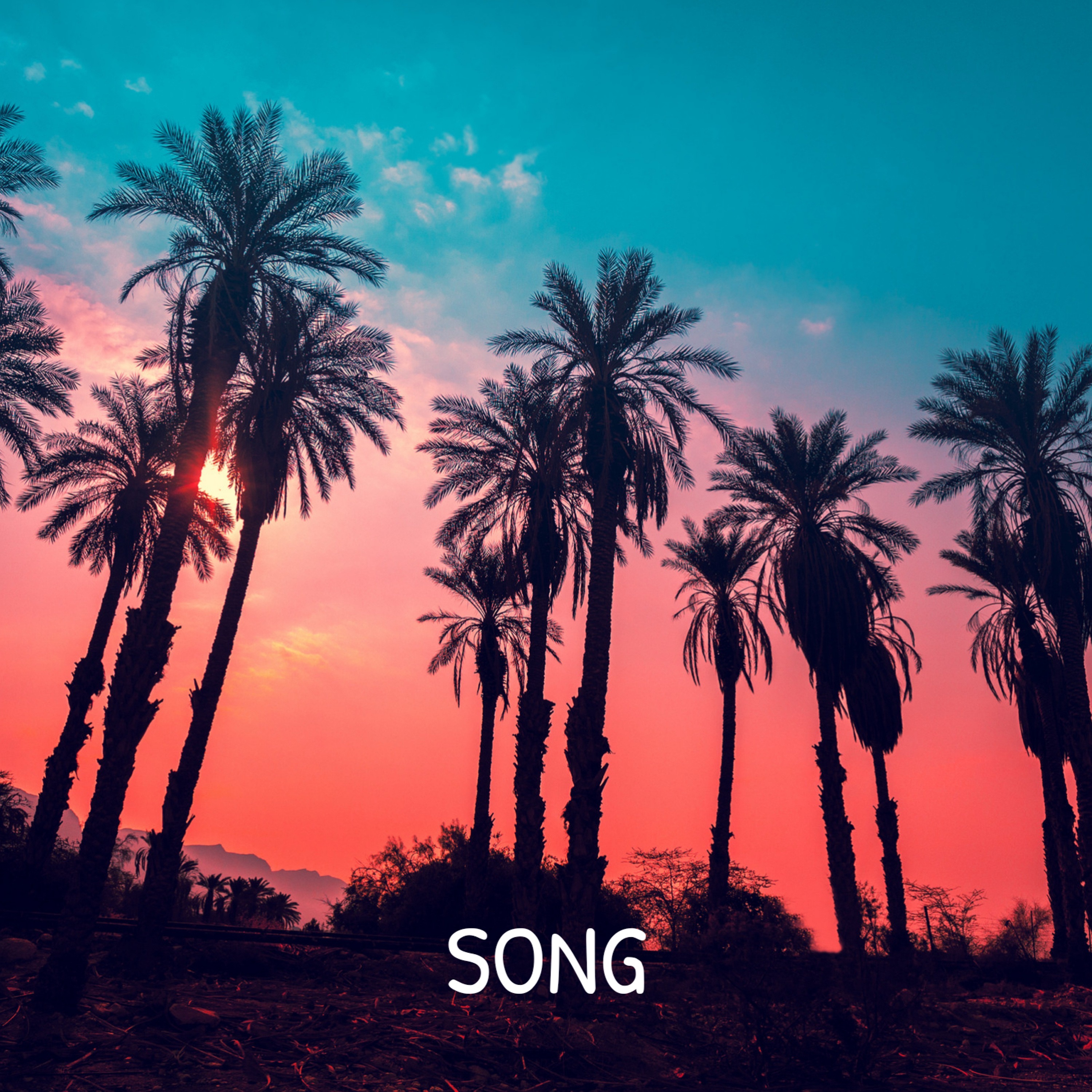 Song - Single album cover
