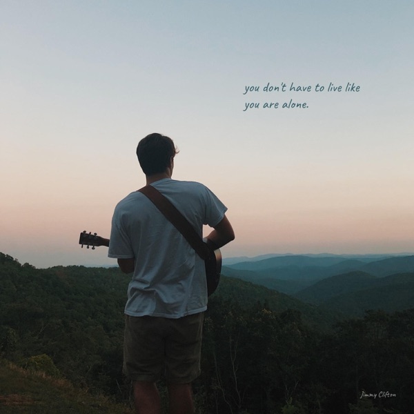 You Don't Have To Live Like You Are Alone. album cover