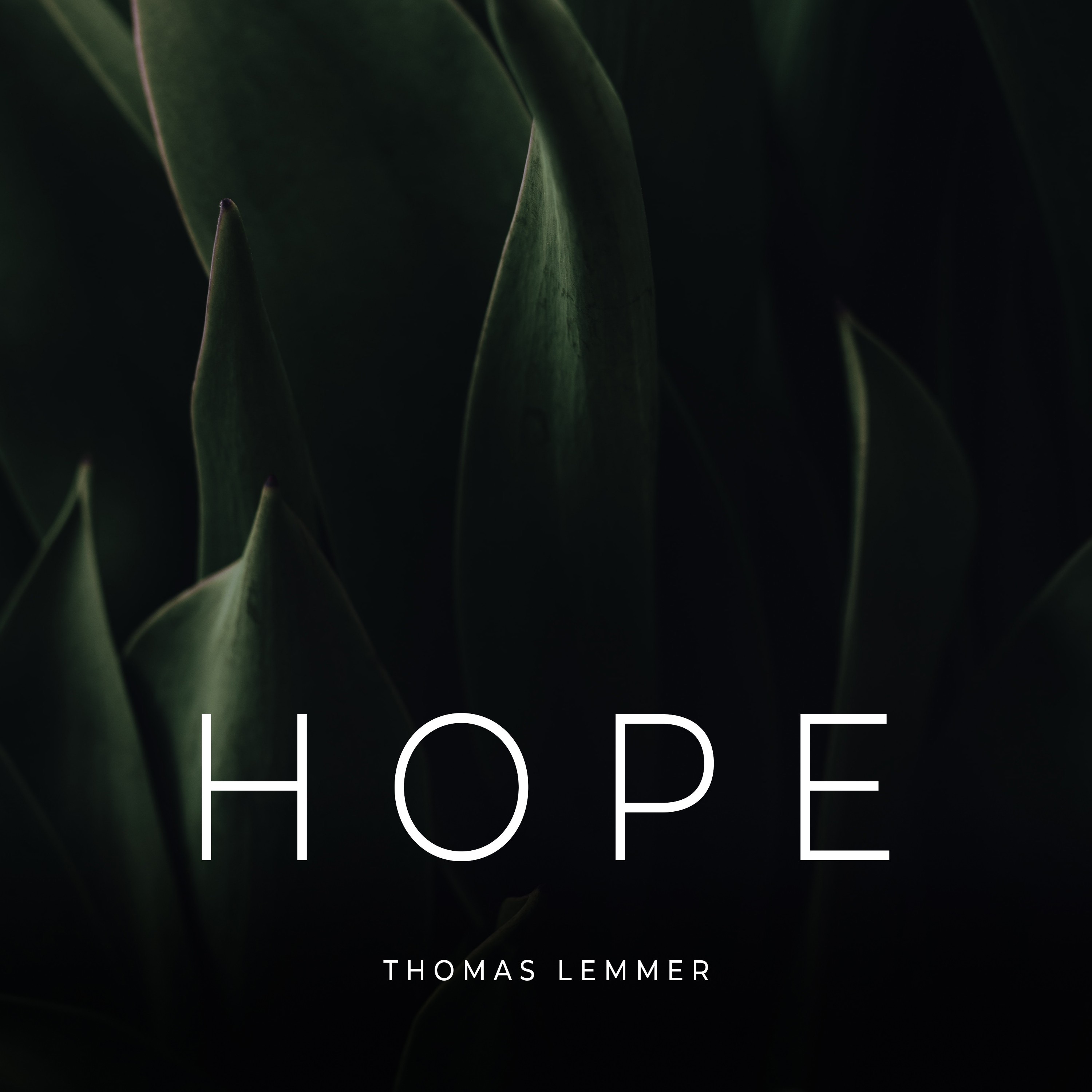 Hope album cover