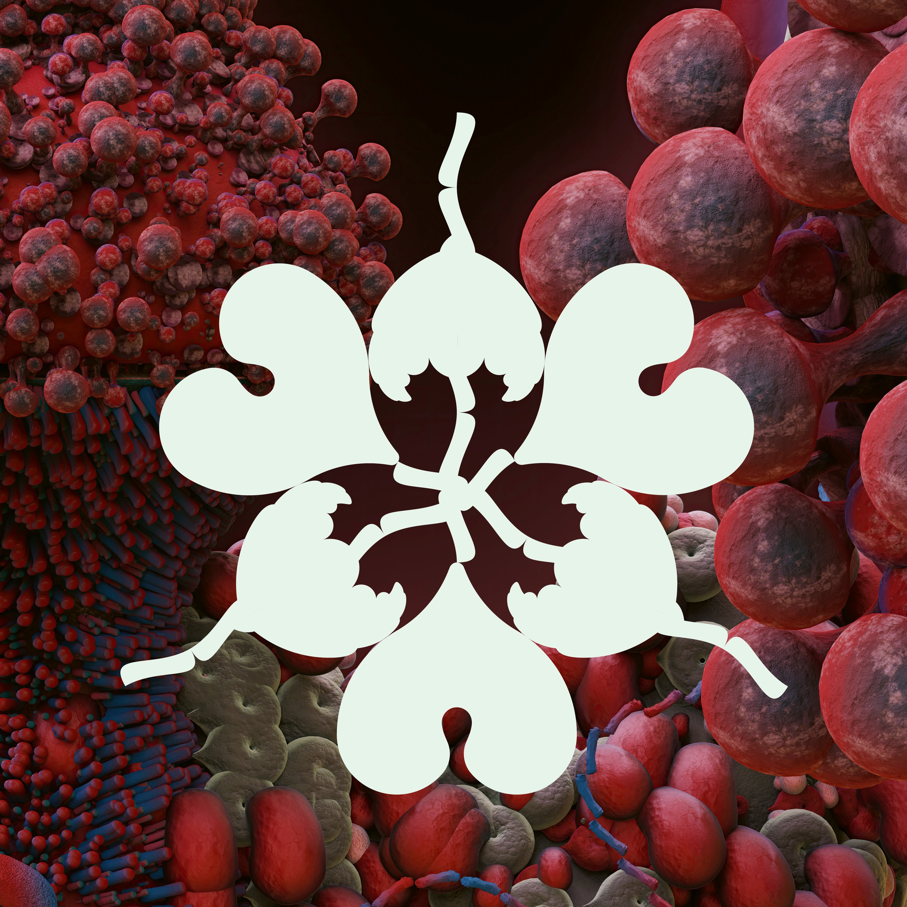 Ovule (feat. Shygirl) [Sega Bodega Remix] - Single album cover