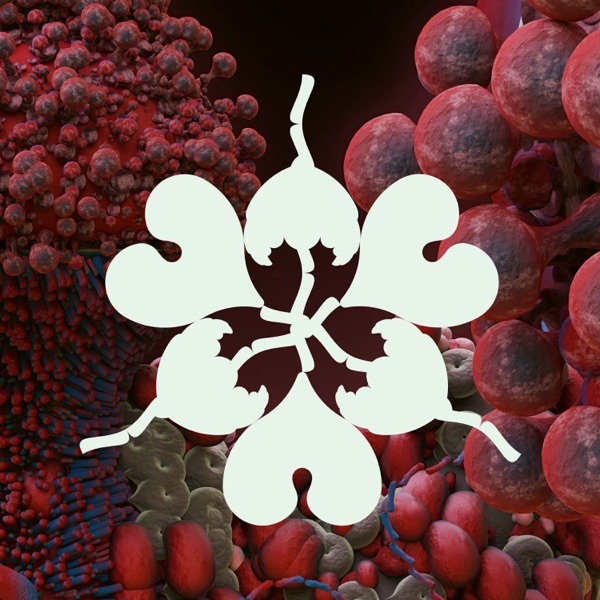 Ovule (feat. Shygirl) [Sega Bodega Remix] - Single album cover