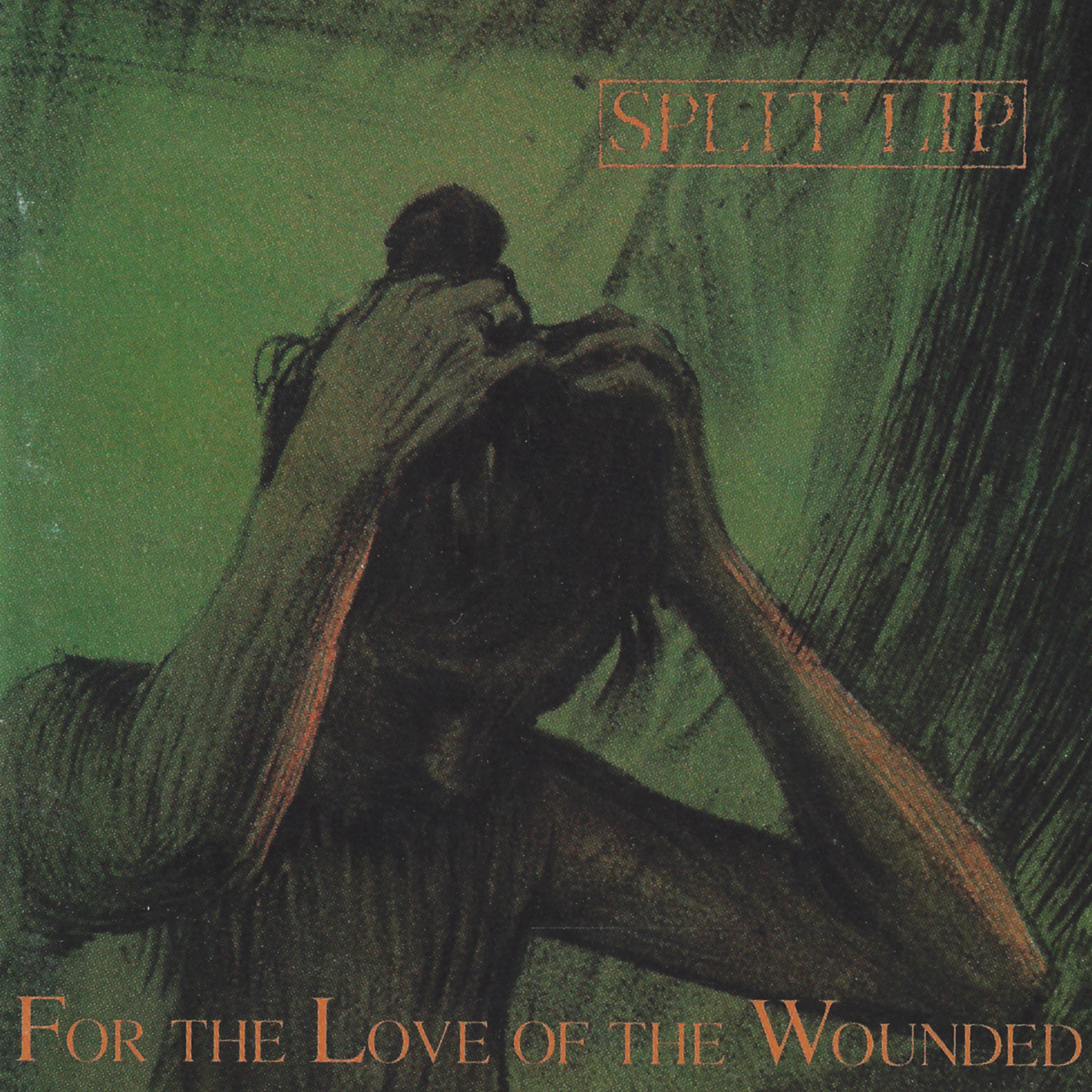 For The Love Of The Wounded album cover