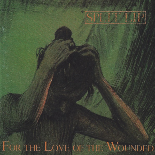 For The Love Of The Wounded album cover