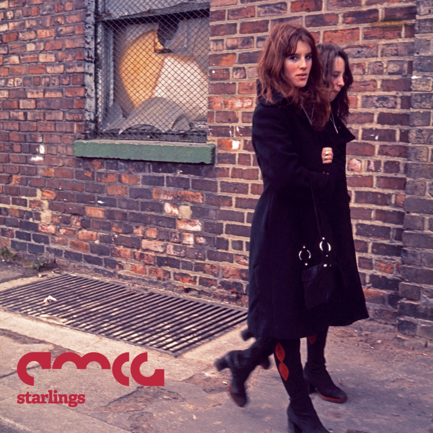 Starlings - Single album cover