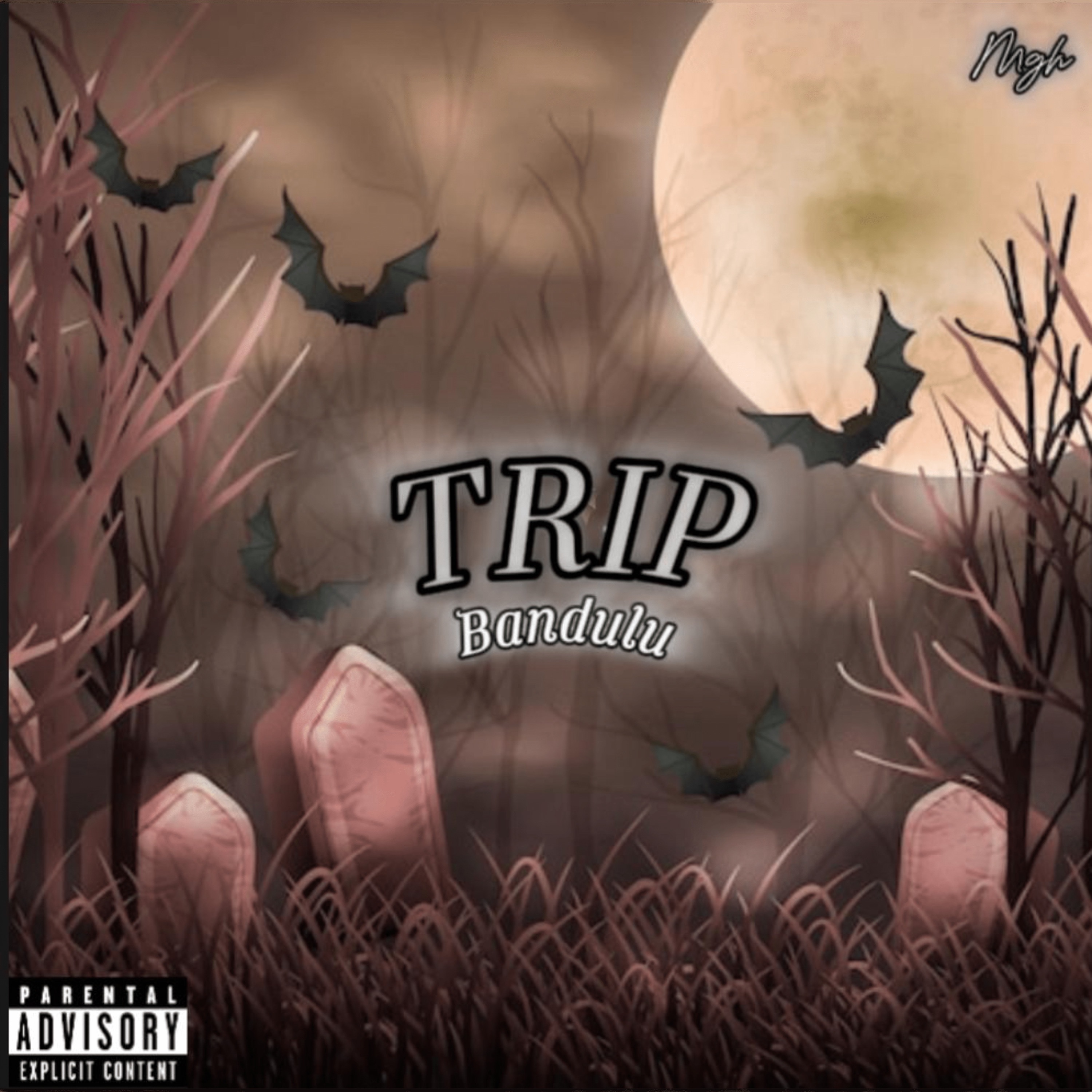 Trip - Single album cover
