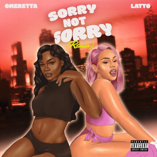 Sorry Not Sorry (Remix) - Single album cover