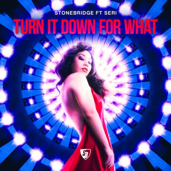 Turn It Down for What (feat. Seri) album cover