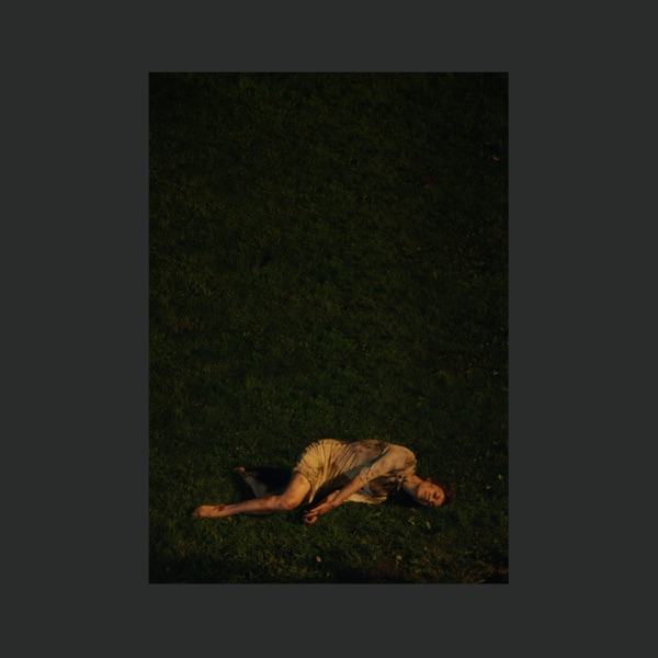 Wolf (Boys Noize Remix) - Single album cover