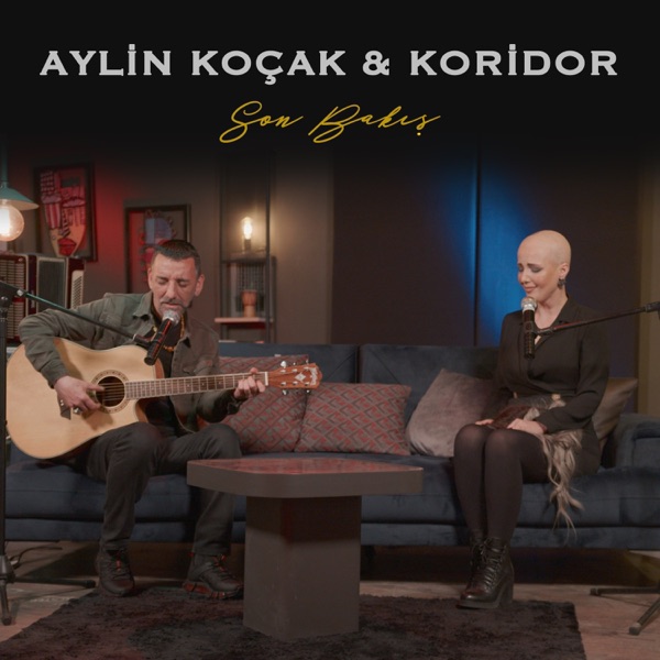 Son Bakış - Single album cover