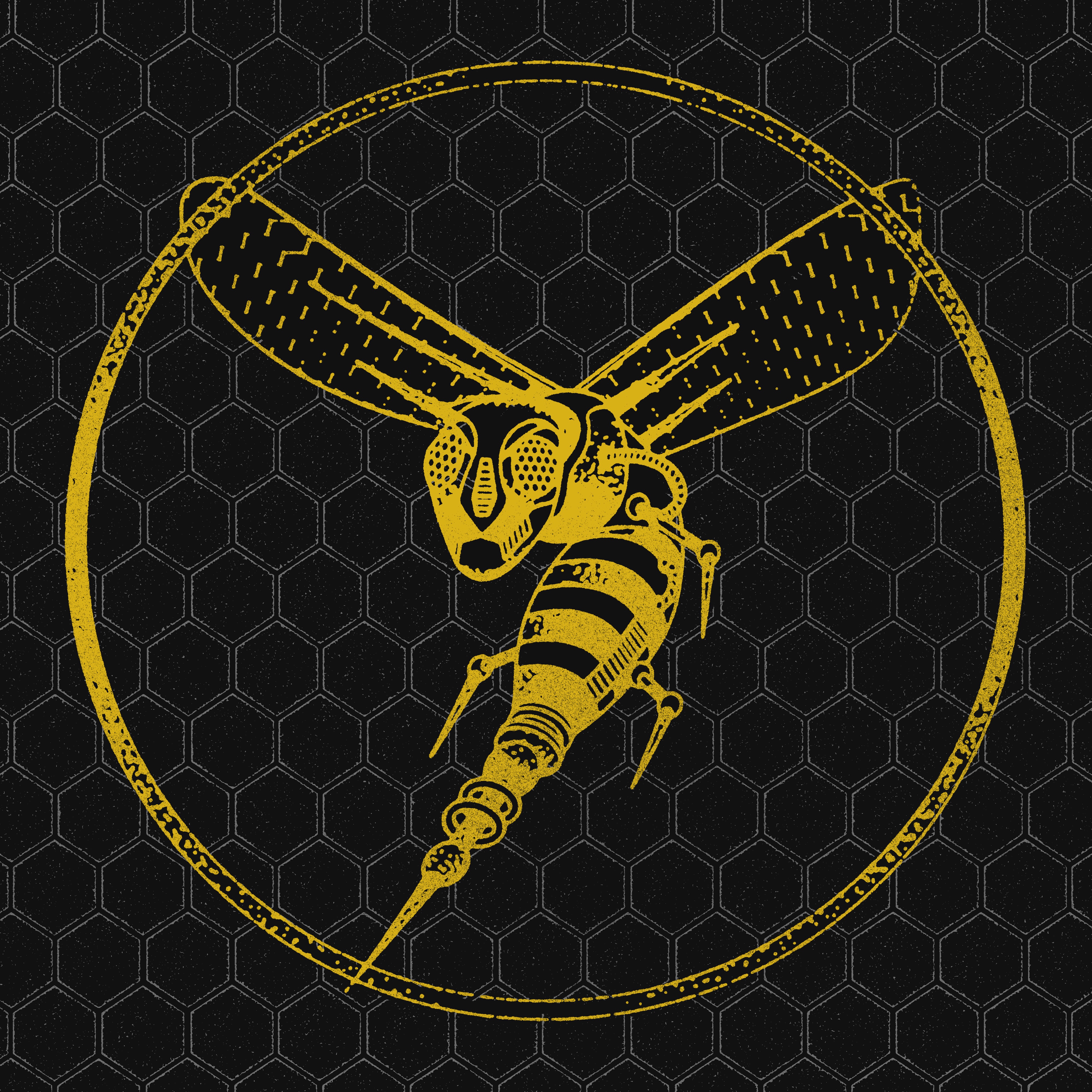 The Electric Bee - EP album cover