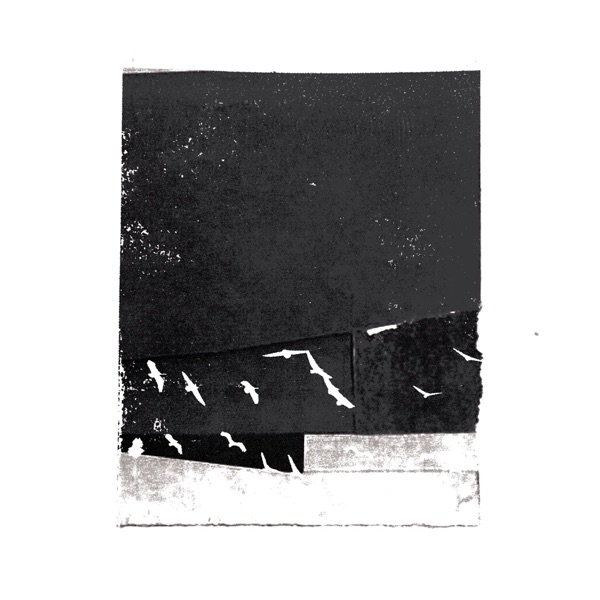 untitled_2 - Single album cover