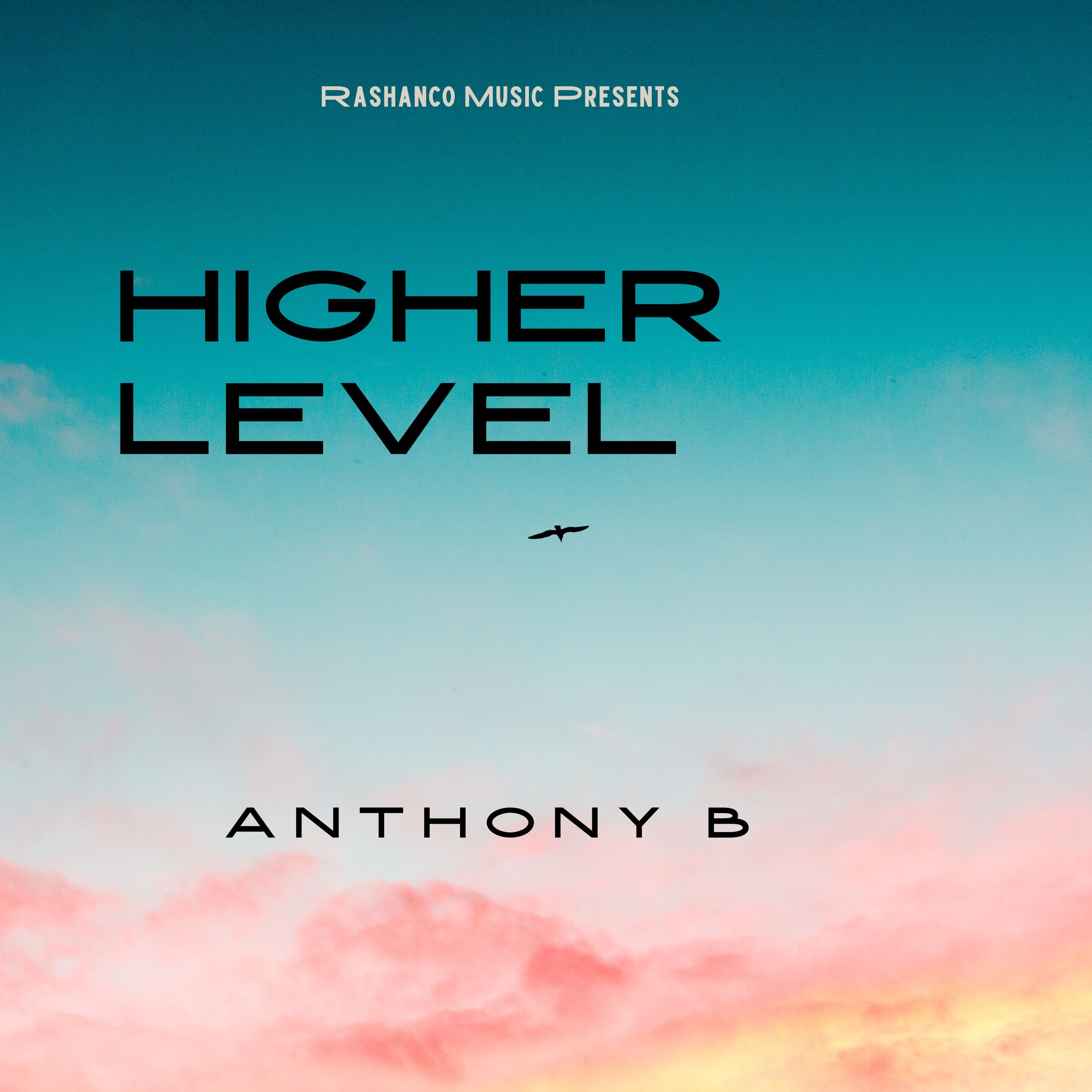 Higher Level - Single album cover