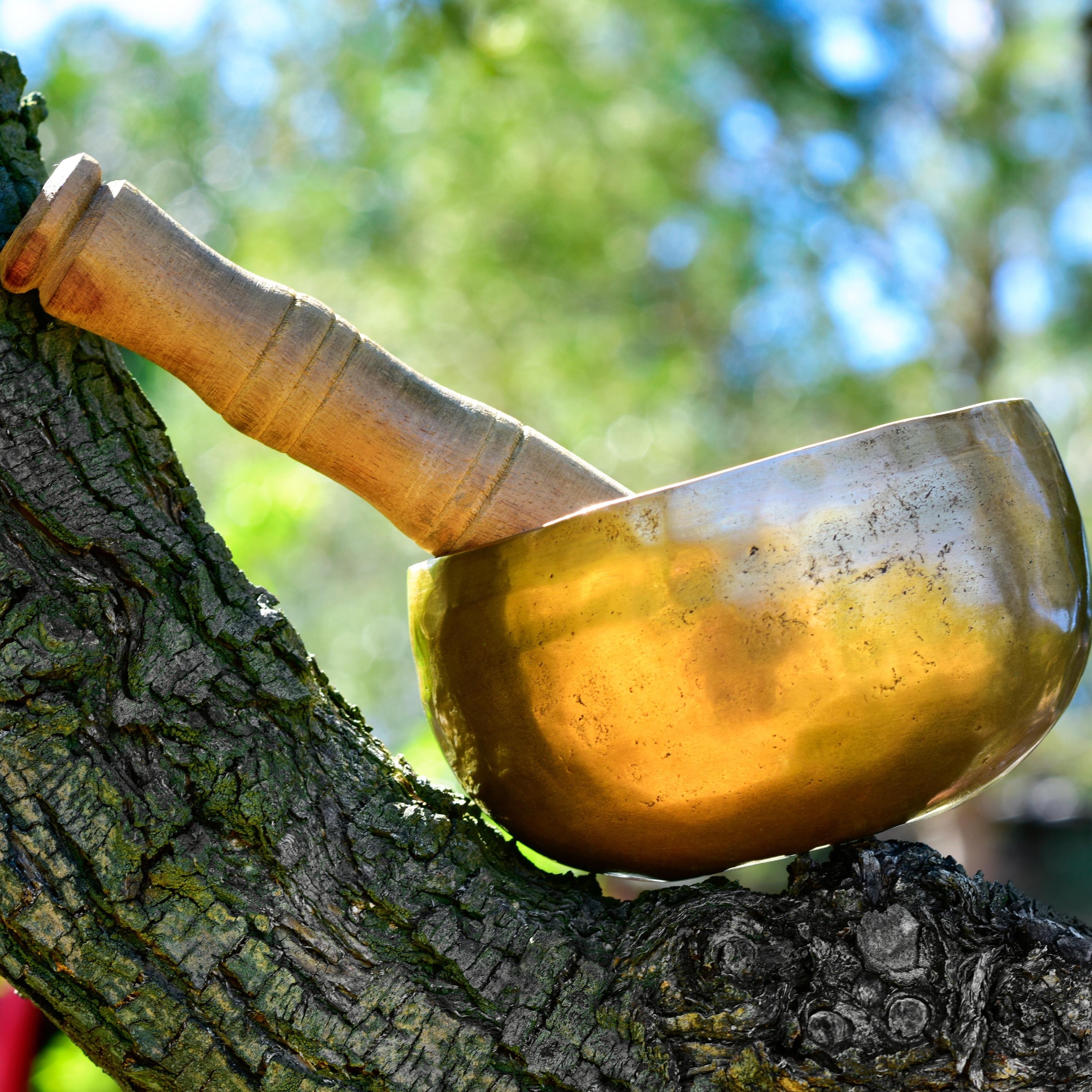 Tibetan Healing Bowls: Andromeda album cover