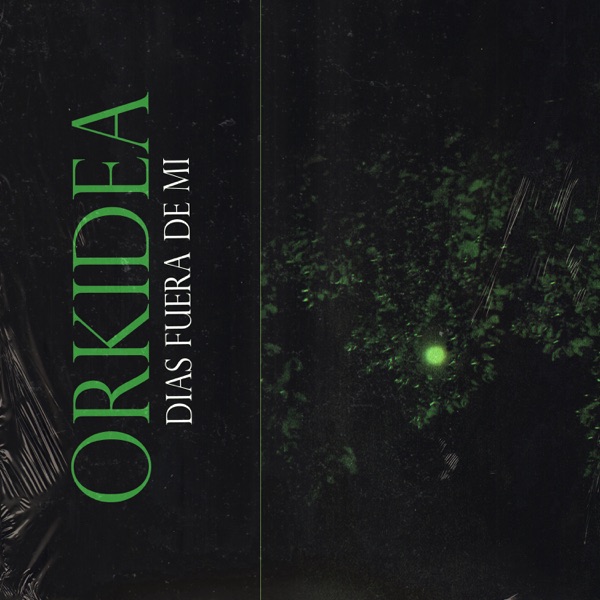 Días Fuera De Mi - Single album cover
