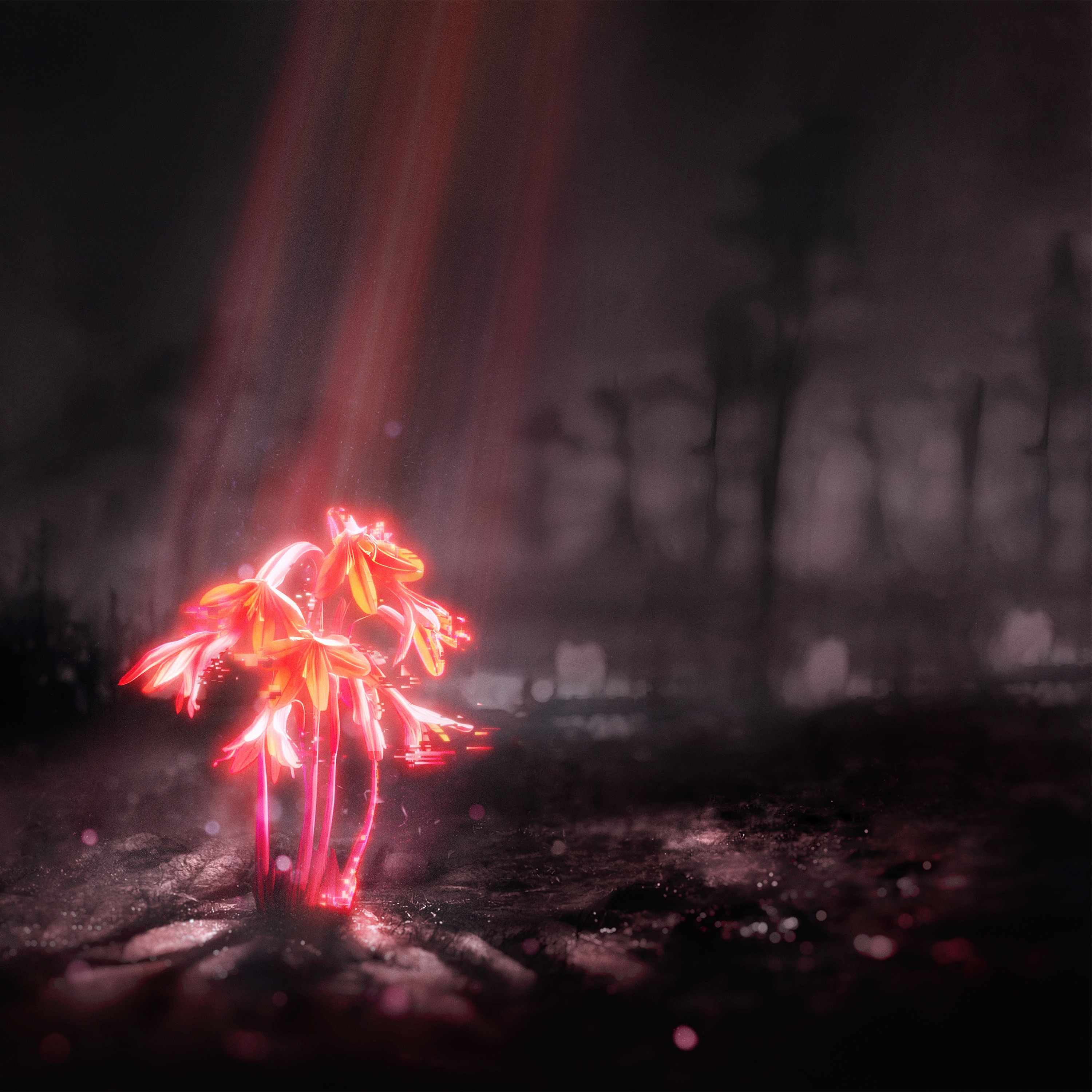 A Kiss for the Whole World album cover