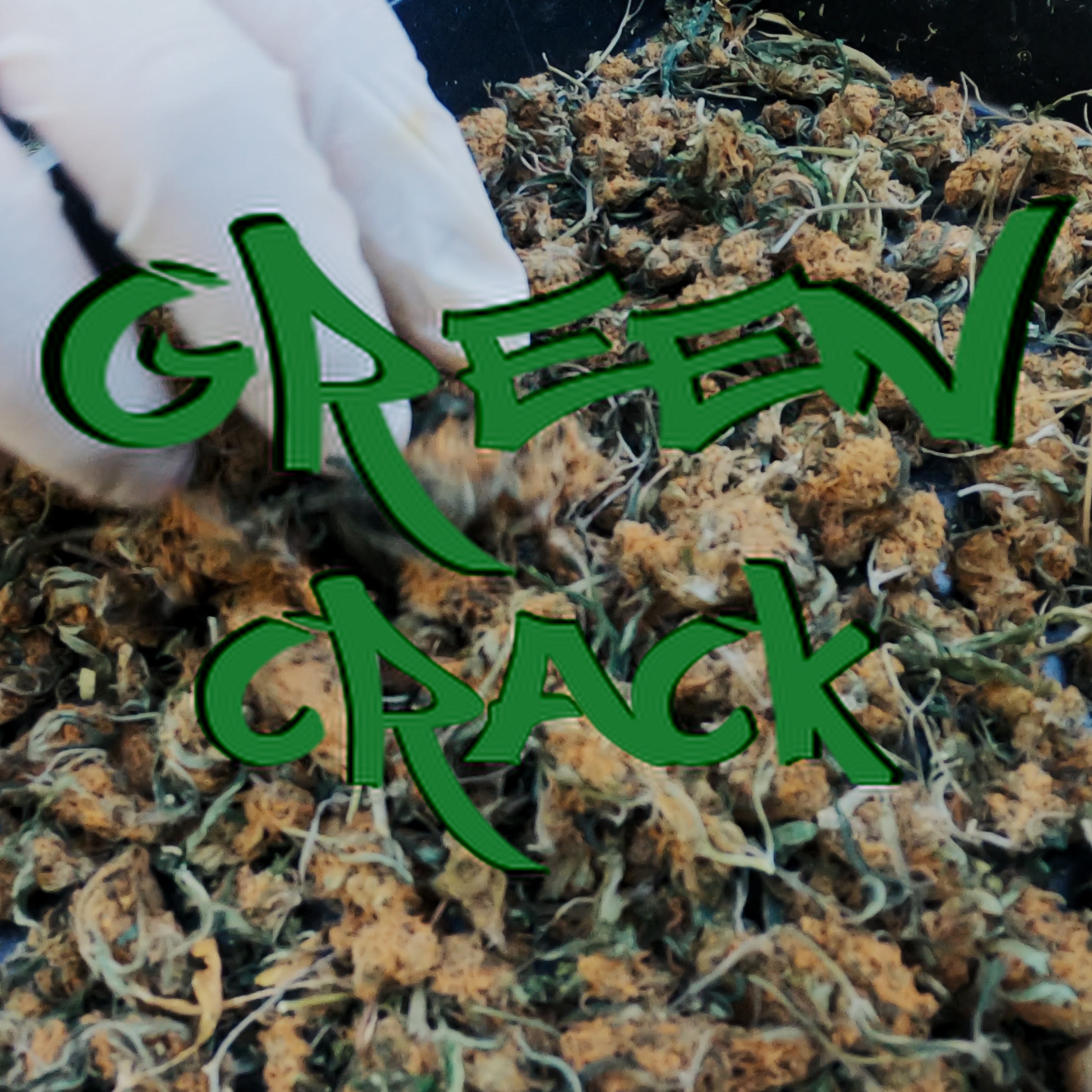 Green Crack (feat. Freeway) - Single album cover