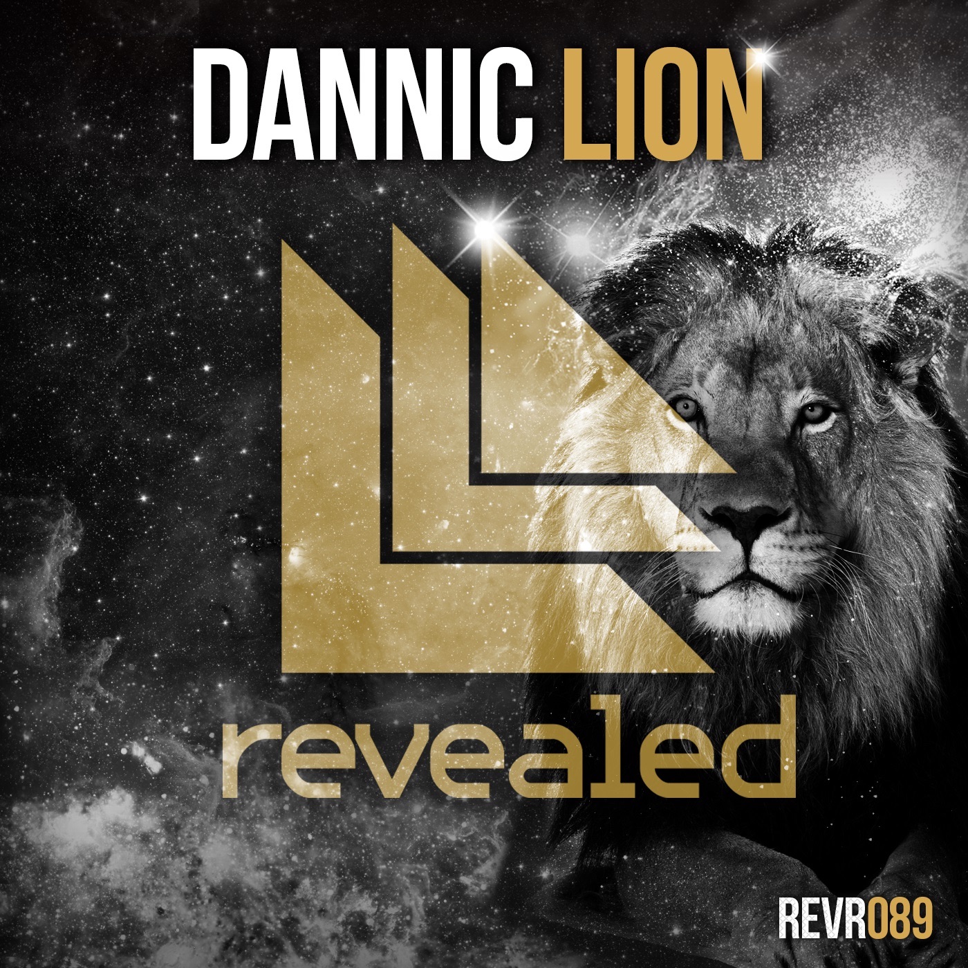 Lion - Single album cover