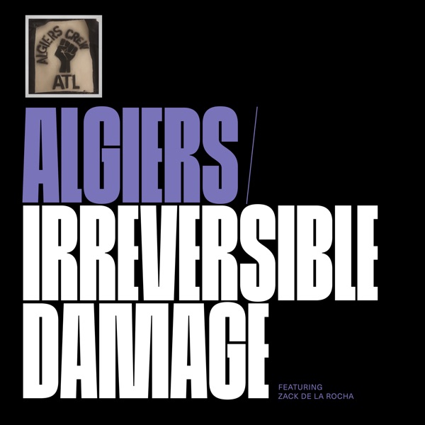 Irreversible Damage (feat. Zack de la Rocha) - Single album cover