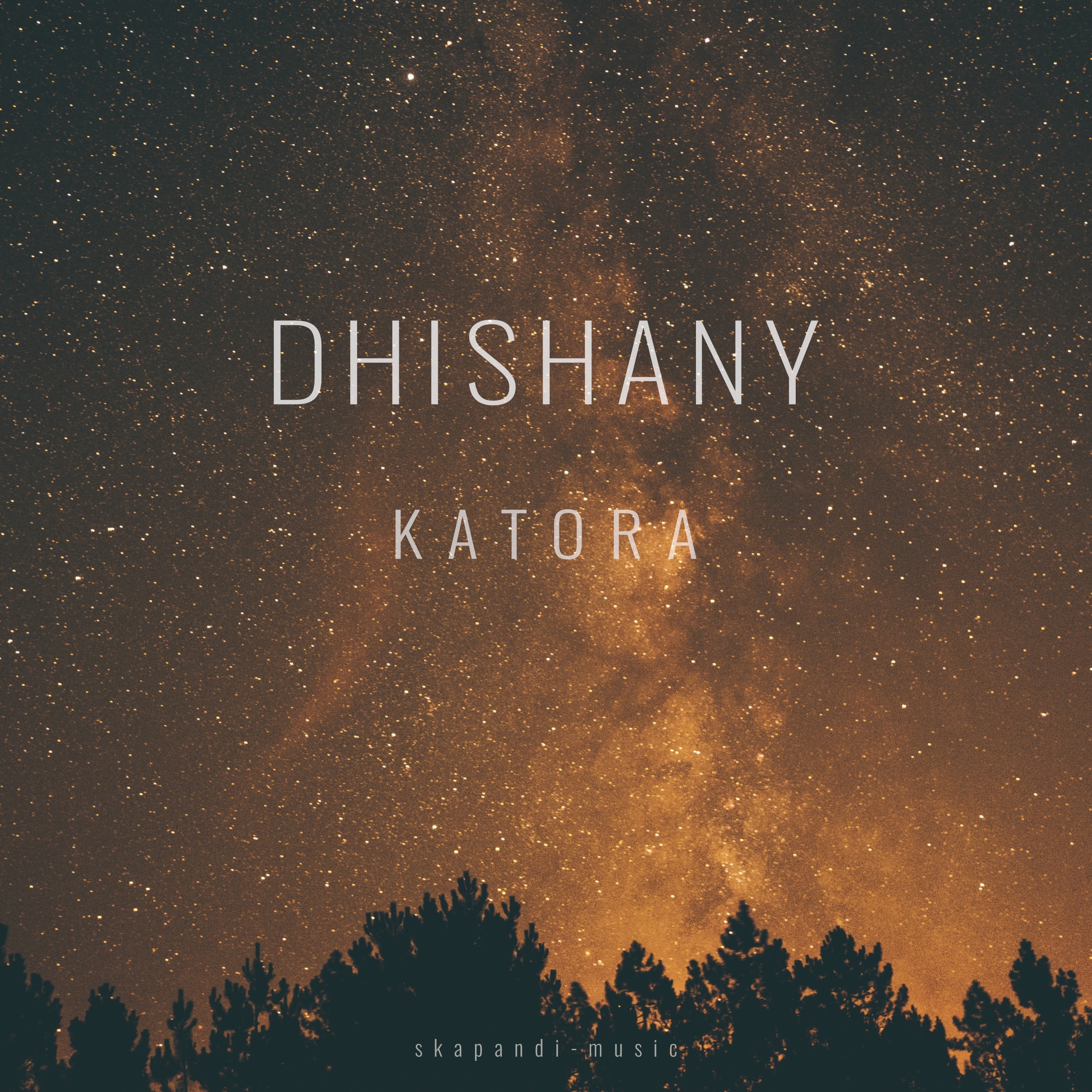 Dhishany - Single album cover