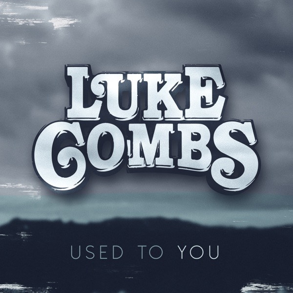 Used to You - Single album cover