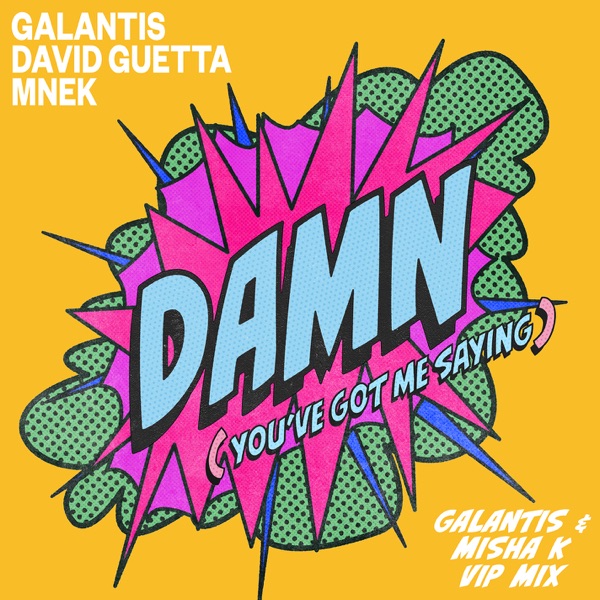Damn (You’ve Got Me Saying) [Galantis & Misha K VIP Mix] - Single album cover