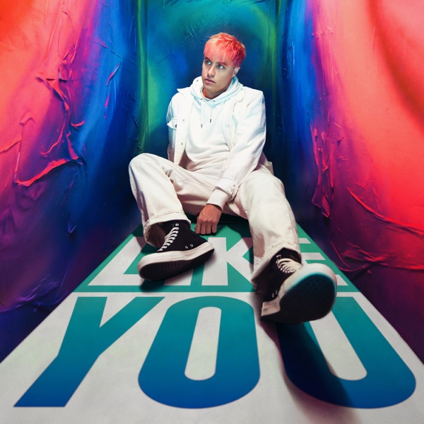 Like You - Single album cover