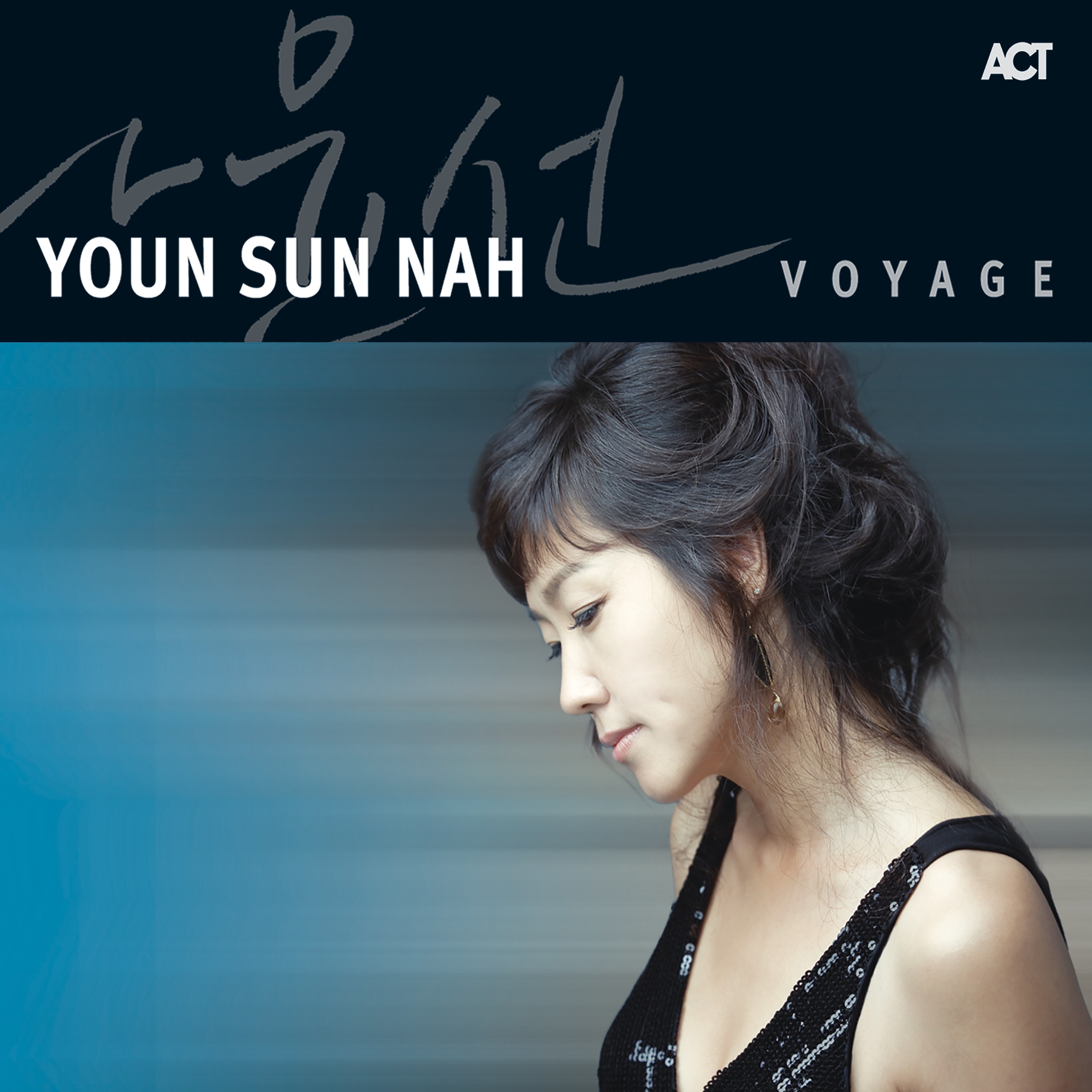 Voyage album cover