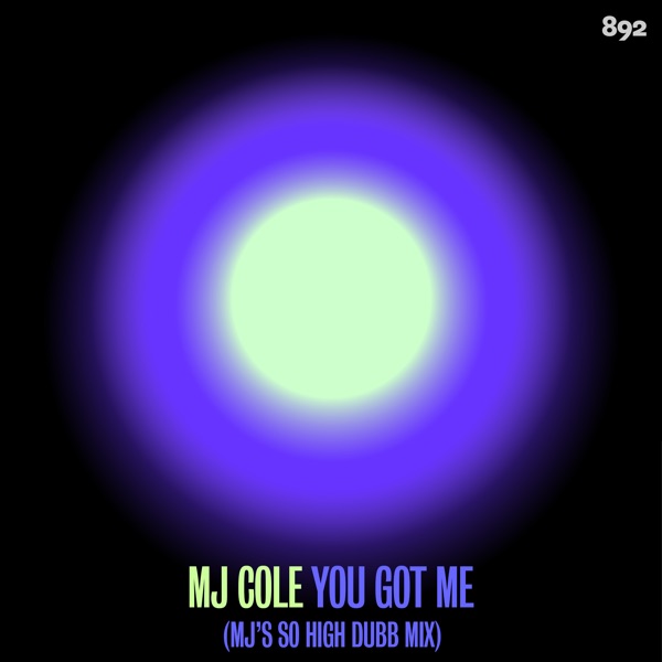 You Got Me (MJ's So High Dubb) - Single album cover