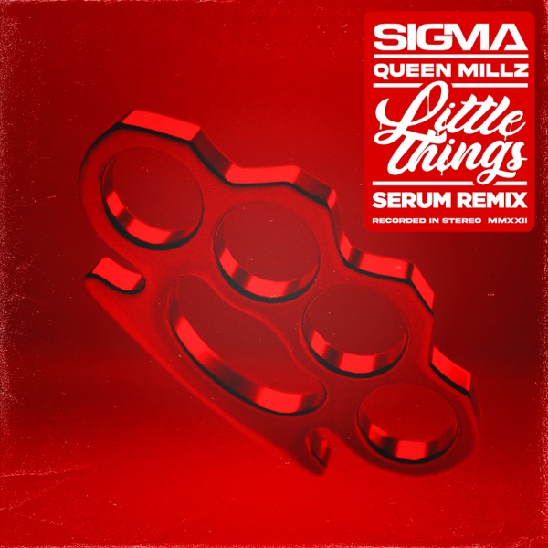 Little Things (Serum Remix) - Single album cover