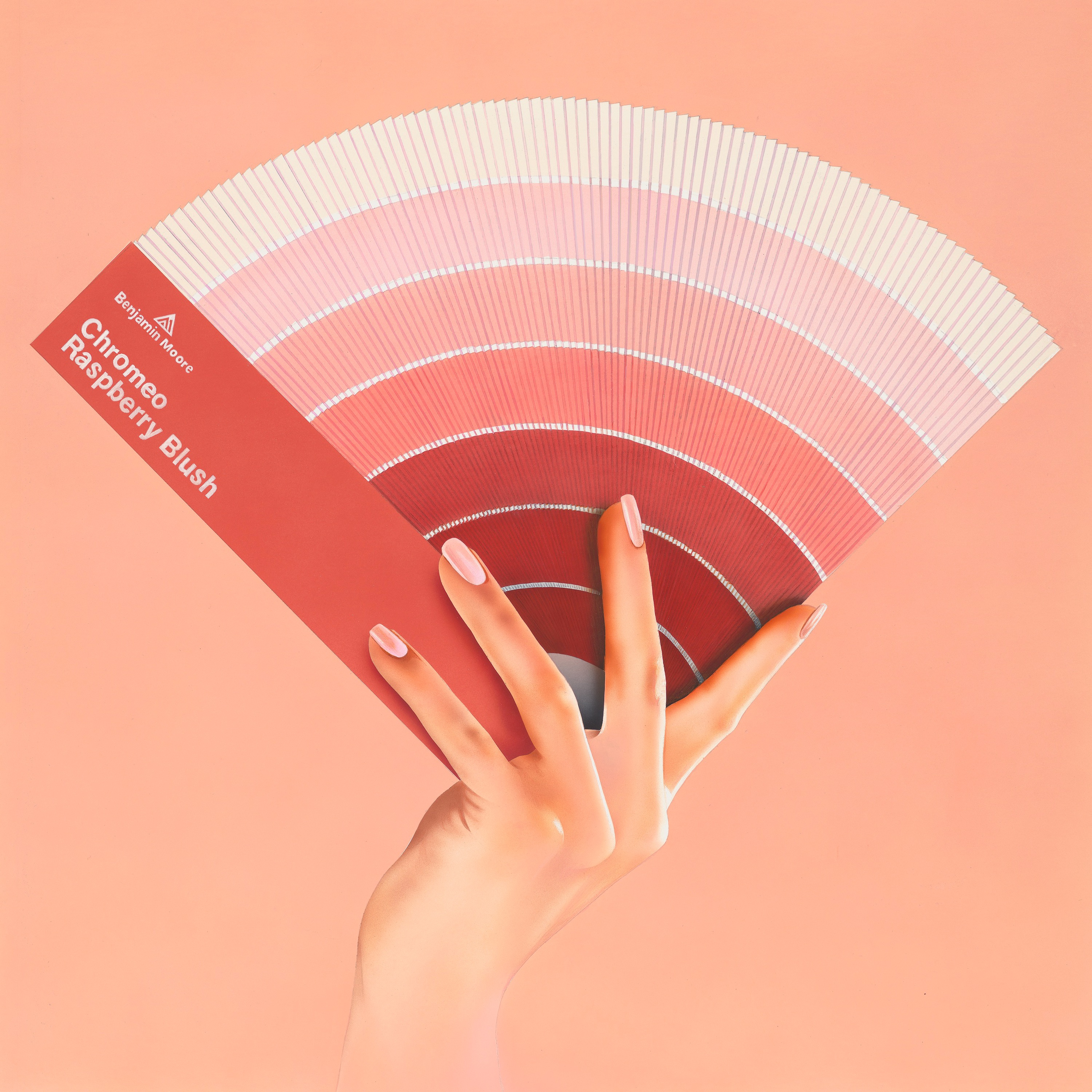 Raspberry Blush - Single album cover