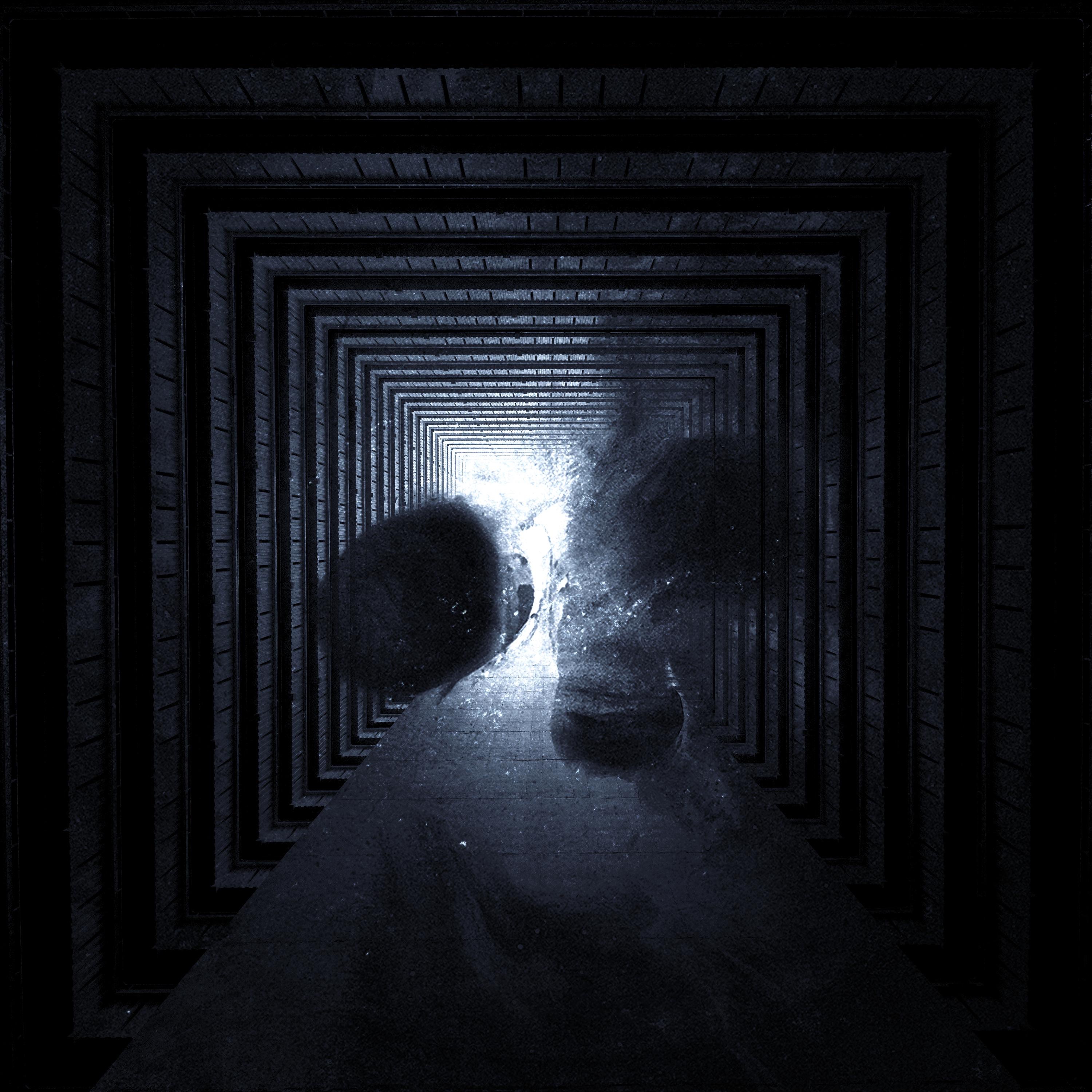 Too Long - Single album cover
