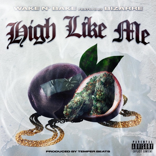 High Like Me (feat. Bizarre) - Single album cover