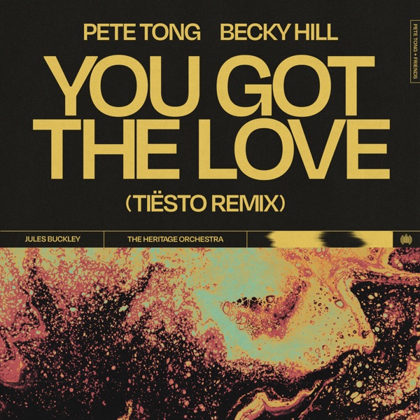 You Got The Love (Tiësto Remix) [feat. Jules Buckley & The Heritage Orchestra] - Single album cover