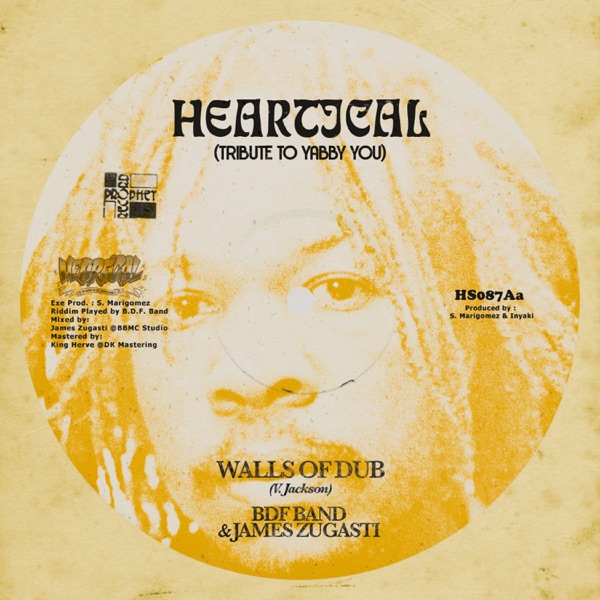 Walls Of Dub - Single album cover
