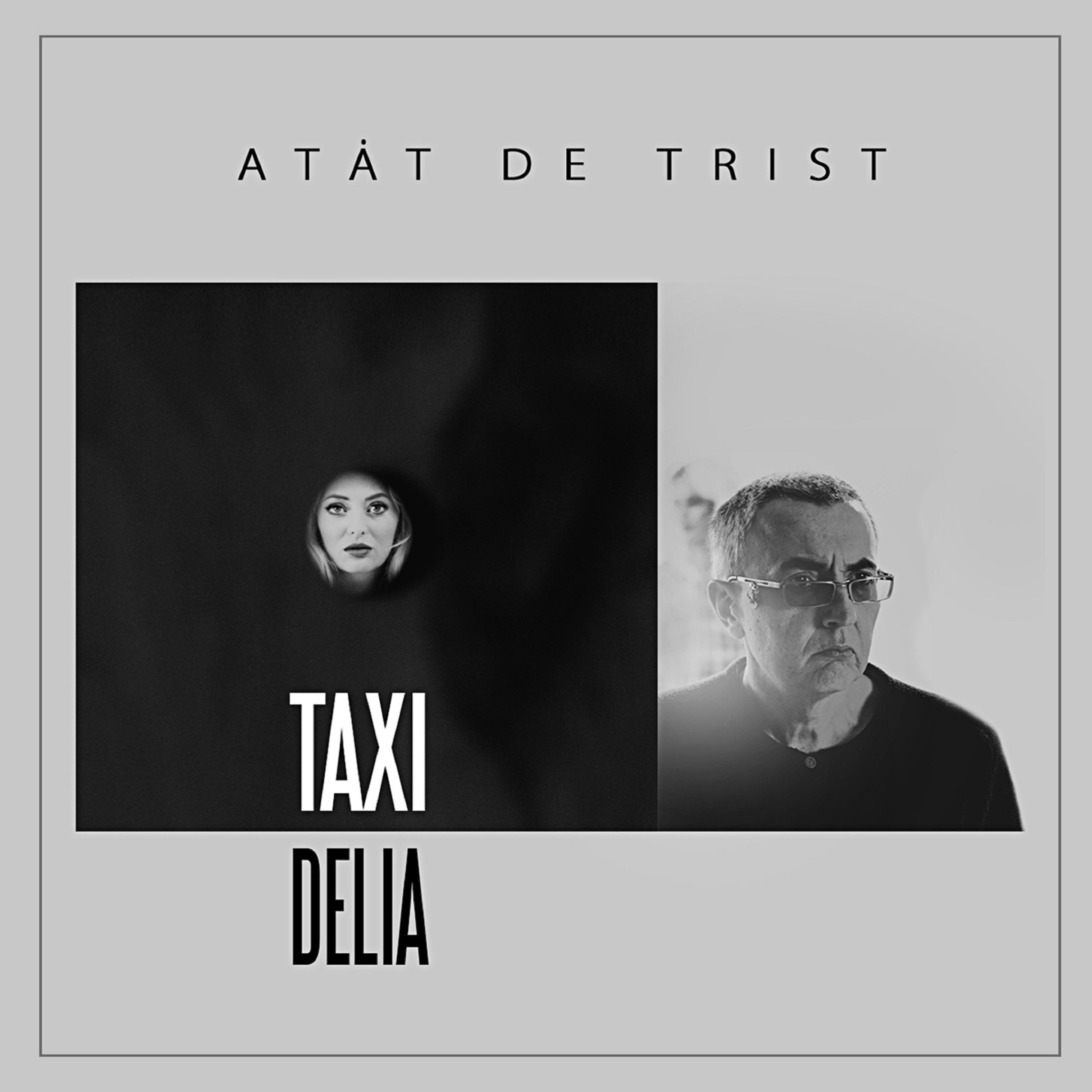 Atat de Trist (Radio Edit) [feat. Delia] - Single album cover