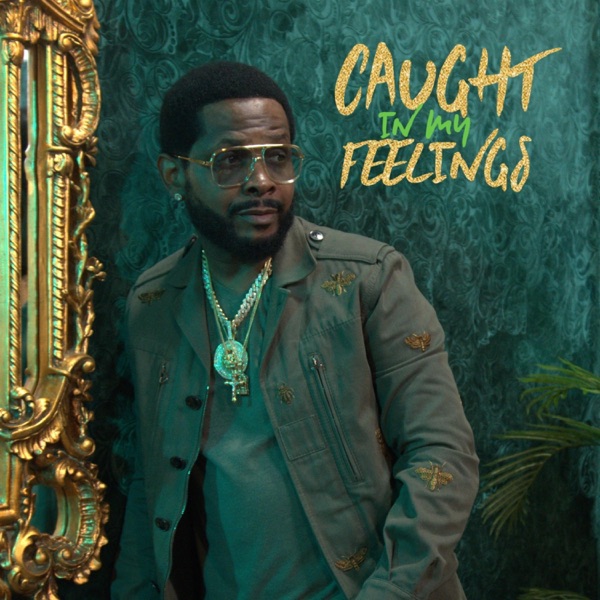 Caught In My Feelings (Radio Edit) - Single album cover