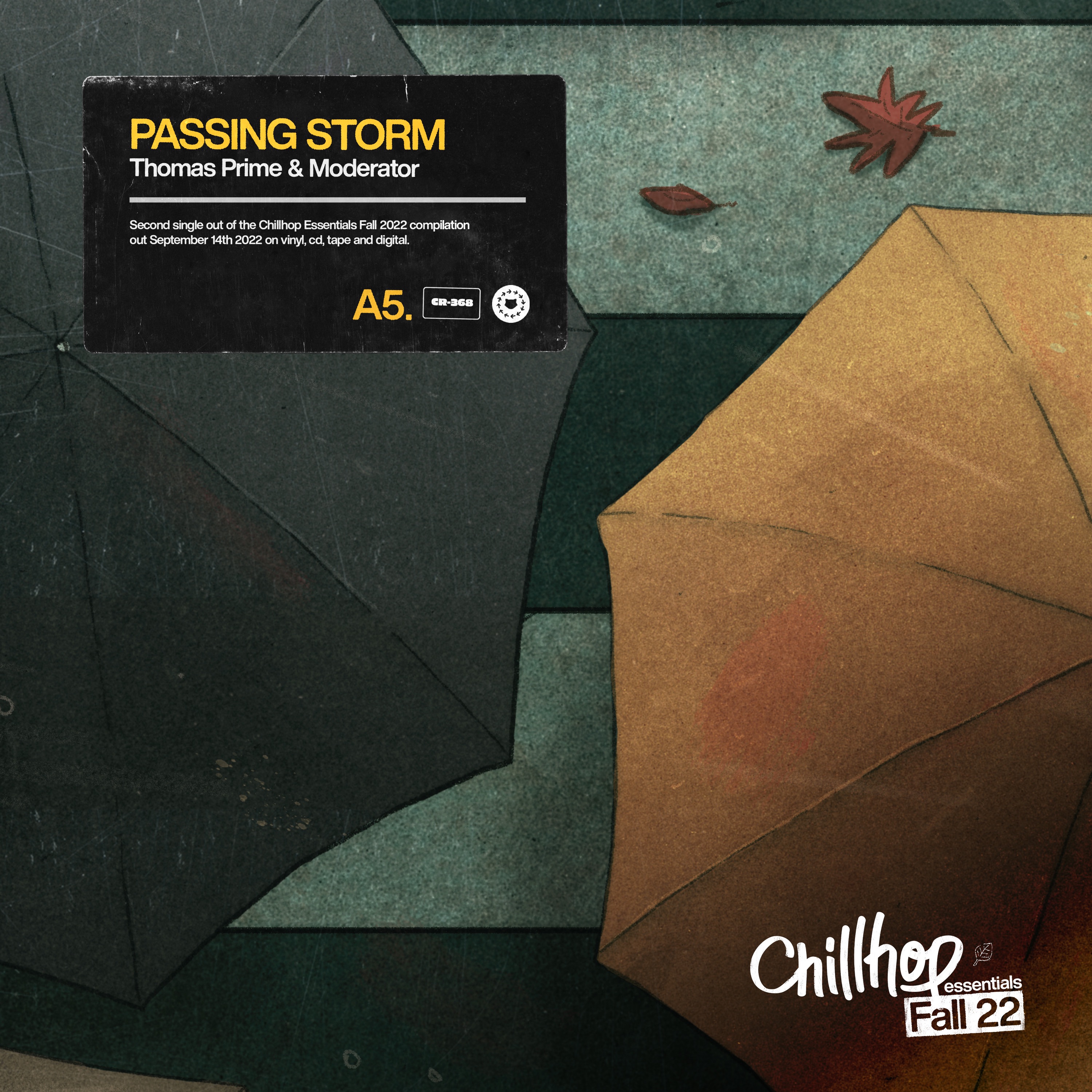 Passing Storm - Single album cover