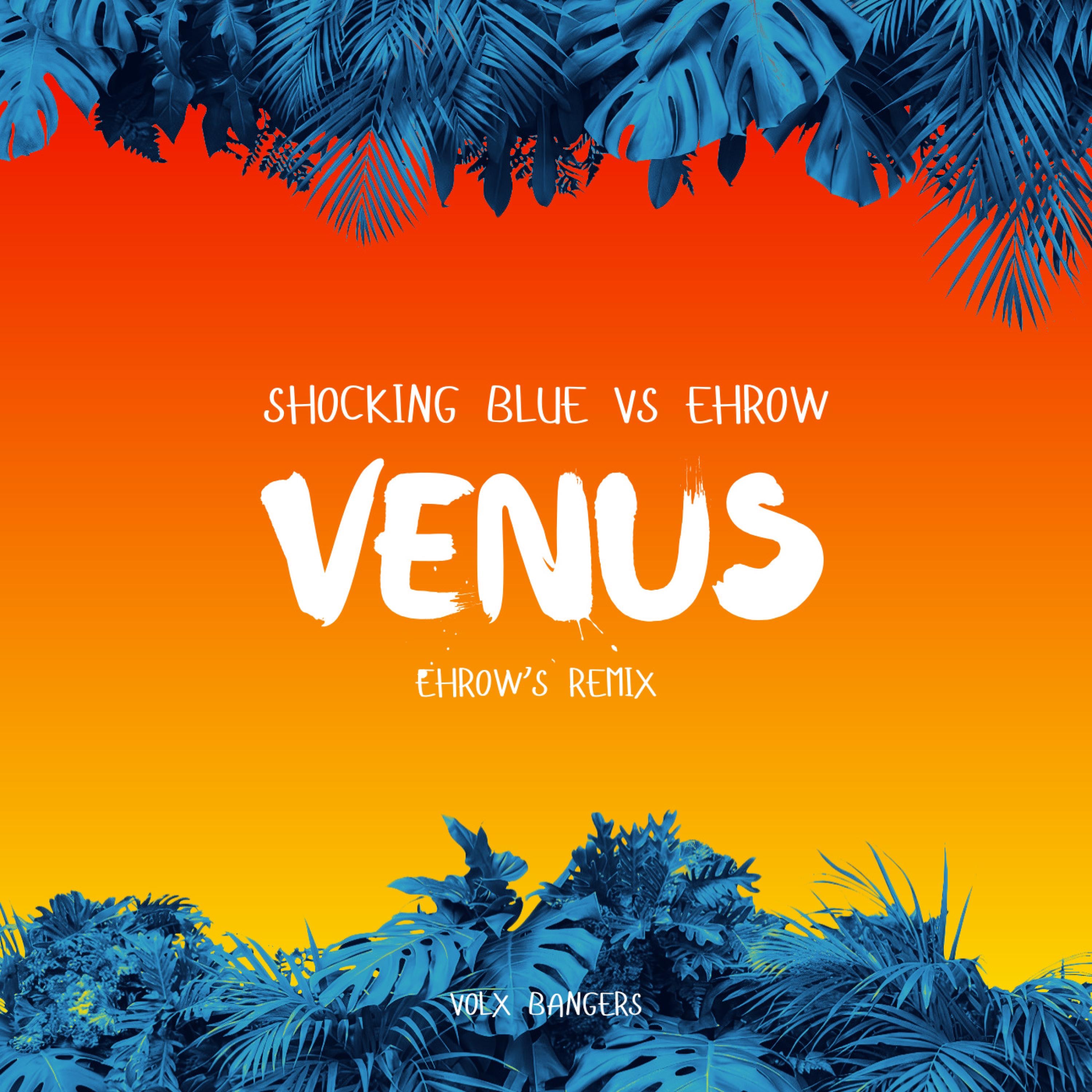 venus (feat. Shocking blue) - Single album cover