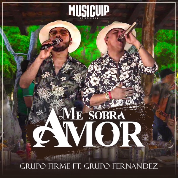 Me Sobra Amor - Single album cover