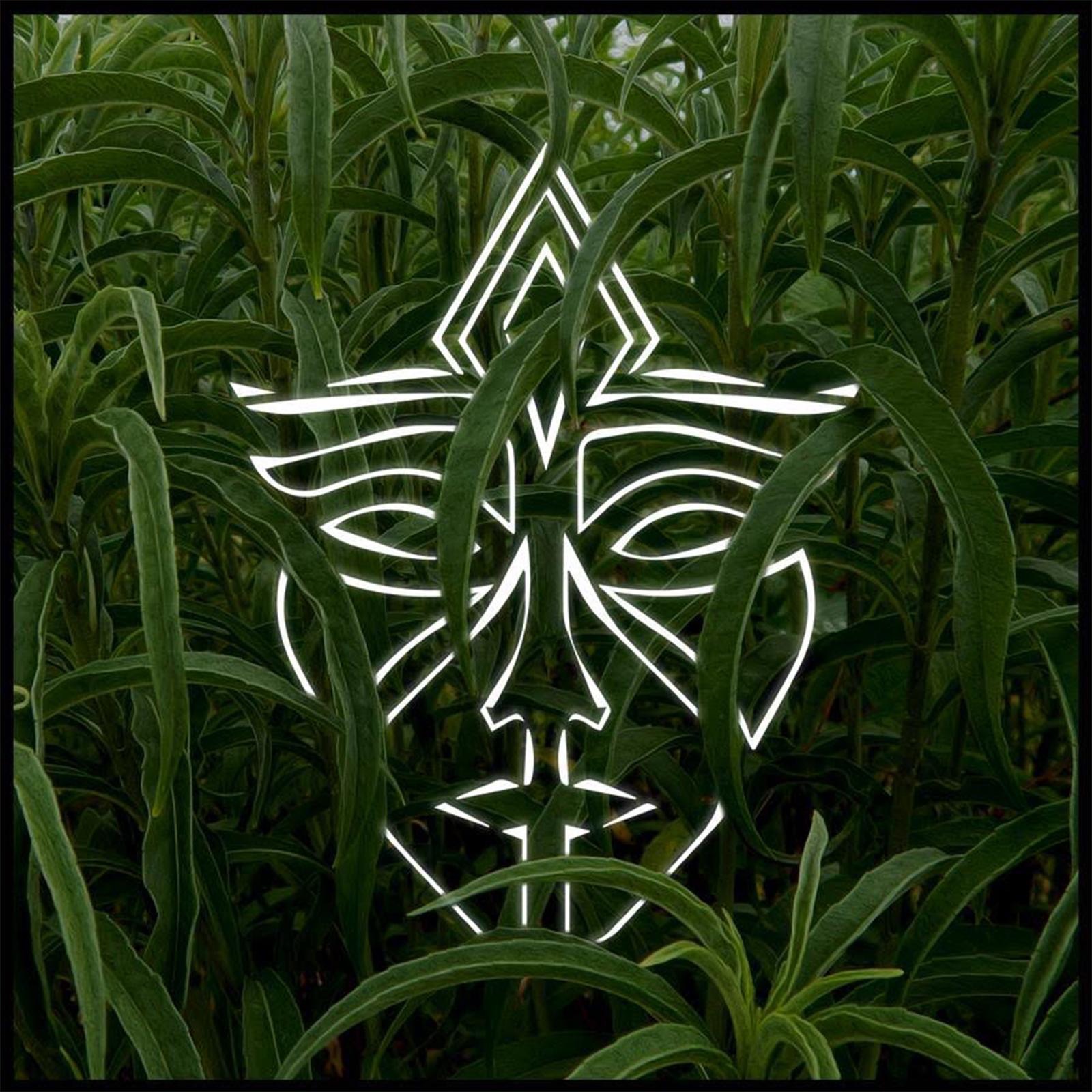Warrior - Single album cover